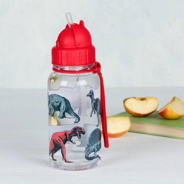 Rex London Zestaw śniadaniowy do szkoły lunchbox i bidon ze słomką 500 ml Dinozaury