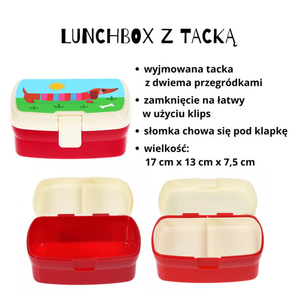 Rex London Zestaw śniadaniowy do szkoły lunchbox i bidon ze słomką 500 ml Jamniki