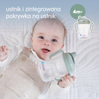 B.box kubek do nauki picia dla dziecka - zestaw 4w1 240 ml szałwiowy